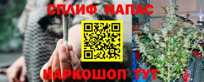 PSILOCYBIN Берёзовский